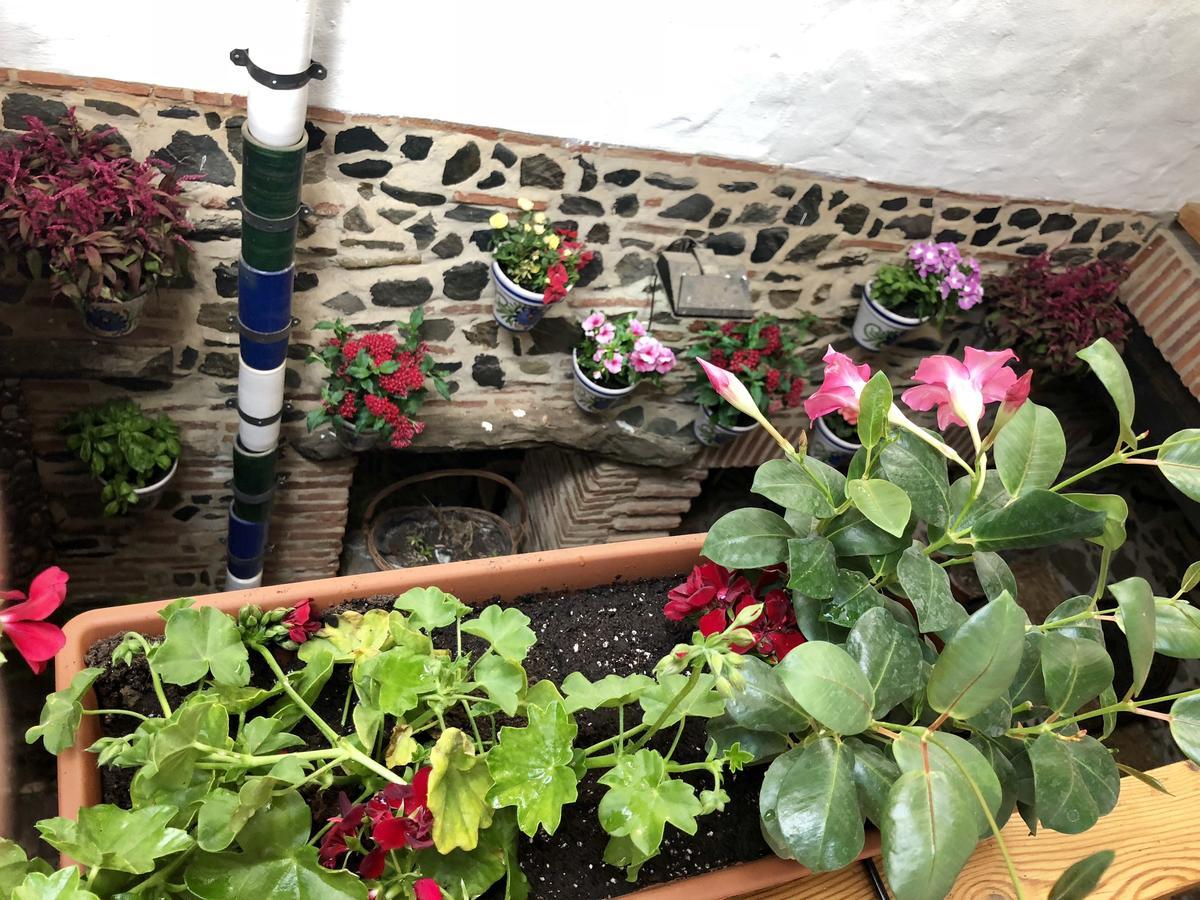 Hotel Posada Del Bandolero Borge エクステリア 写真